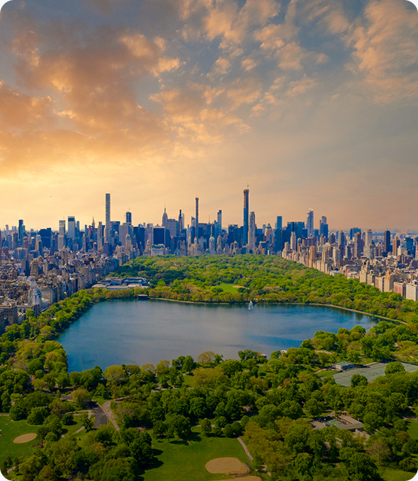 newyorkcityadvisor